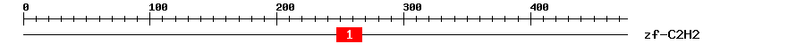Signature Domain