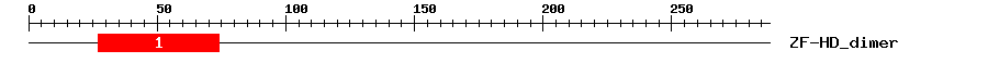 Signature Domain