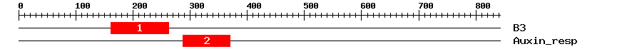 Signature Domain