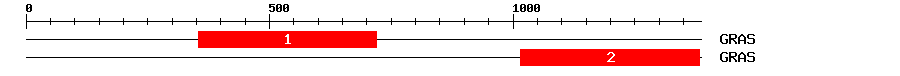 Signature Domain