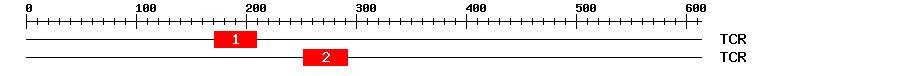 Signature Domain