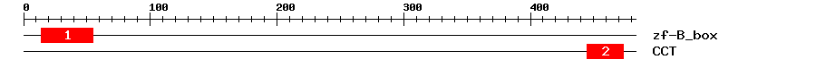 Signature Domain