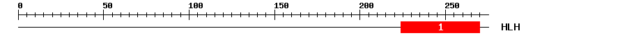 Signature Domain