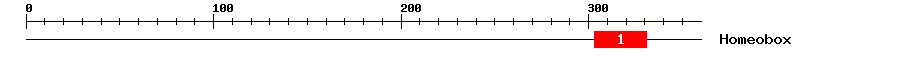Signature Domain