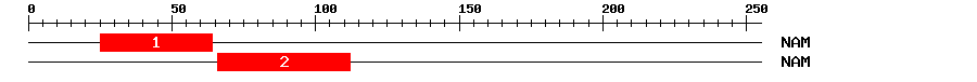 Signature Domain
