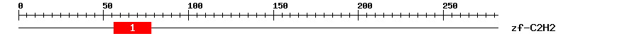 Signature Domain