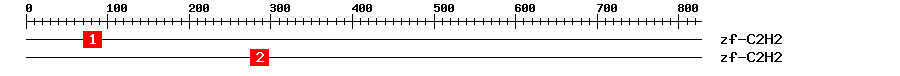 Signature Domain