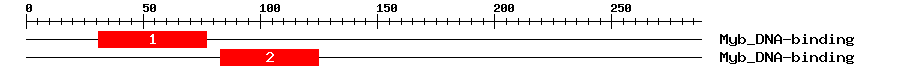 Signature Domain