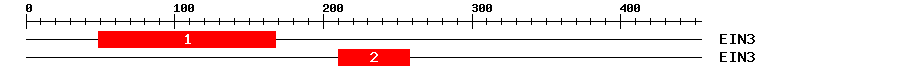 Signature Domain