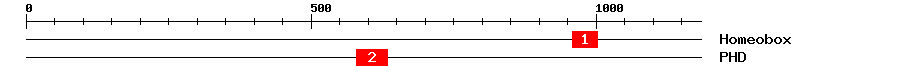 Signature Domain