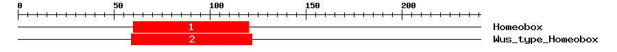 Signature Domain