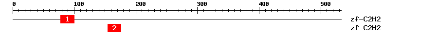 Signature Domain