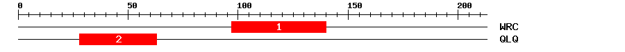 Signature Domain