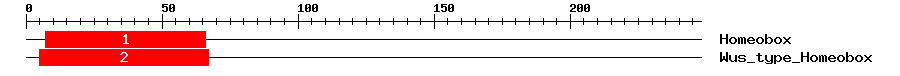 Signature Domain