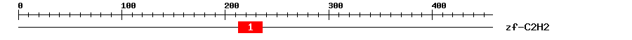 Signature Domain