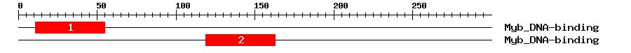 Signature Domain