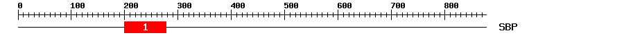 Signature Domain