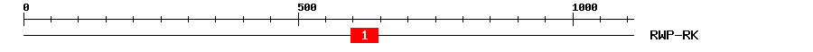 Signature Domain