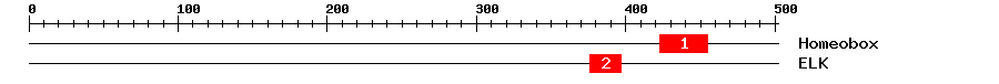 Signature Domain