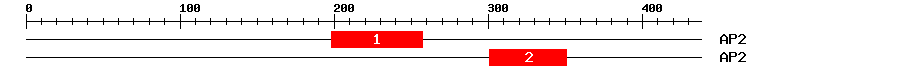 Signature Domain