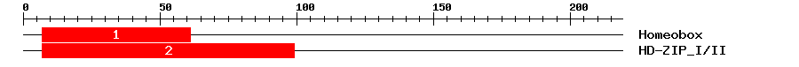 Signature Domain