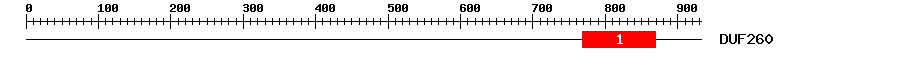Signature Domain