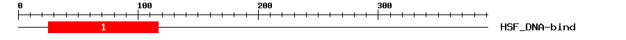 Signature Domain