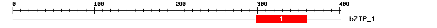 Signature Domain
