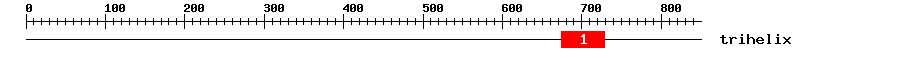 Signature Domain