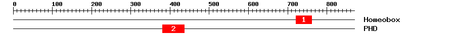 Signature Domain