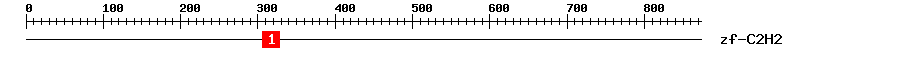 Signature Domain