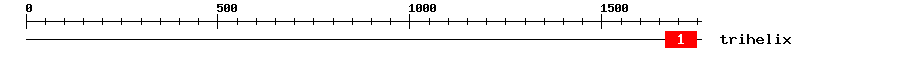 Signature Domain
