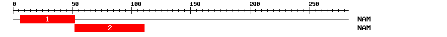 Signature Domain