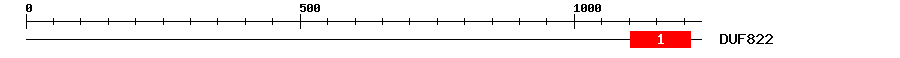 Signature Domain