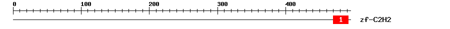 Signature Domain