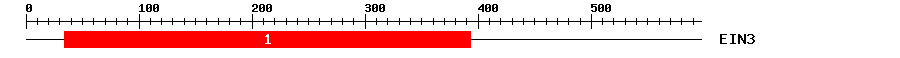 Signature Domain