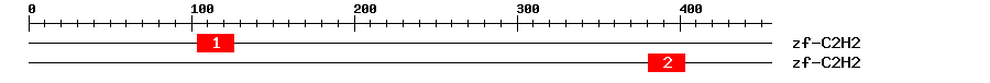 Signature Domain