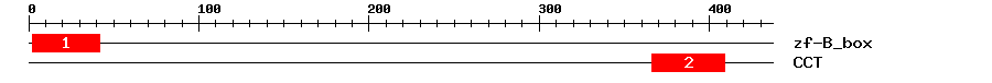 Signature Domain