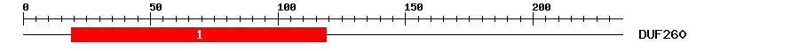 Signature Domain