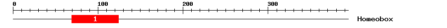 Signature Domain