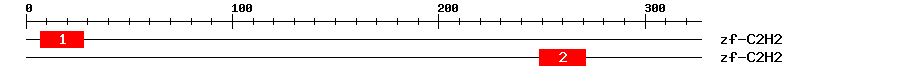 Signature Domain