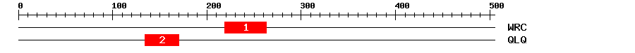 Signature Domain