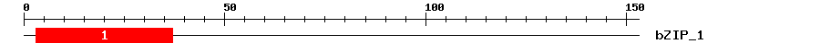 Signature Domain