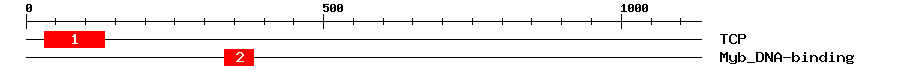 Signature Domain