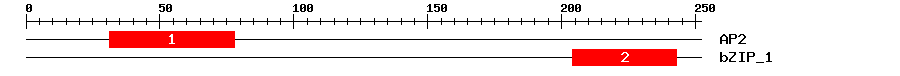 Signature Domain
