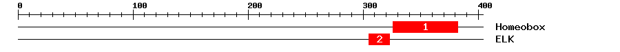 Signature Domain