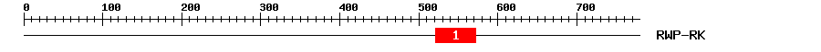 Signature Domain