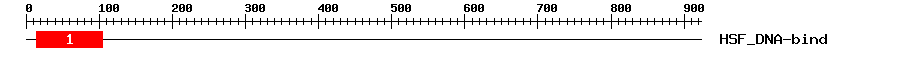 Signature Domain