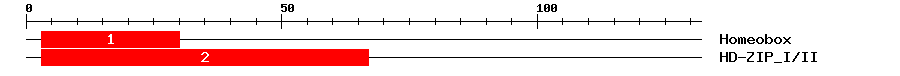 Signature Domain