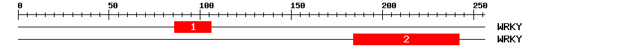 Signature Domain